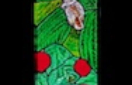 Stained Glass6 Stained Glass