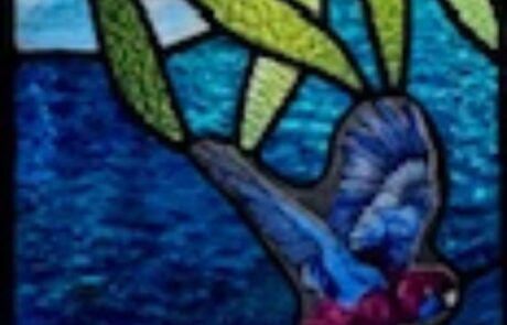 Stained Glass7 Stained Glass